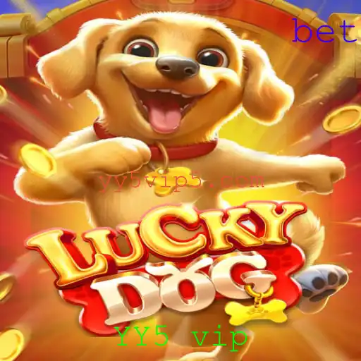 Desvendando o Mundo de LuckyDog: Um Guia Completo
